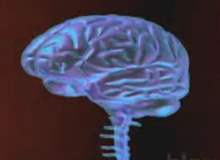 Ensefalit ve Menenjit - Fark Nedir? Ensefalit ve Menenjit - Fark Nedir?