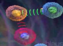 Multipl Skleroz Efsanelerine Karşı Multipl Skleroz Gerçekleri Multipl Skleroz Efsanelerine Karşı Multipl Skleroz Gerçekleri