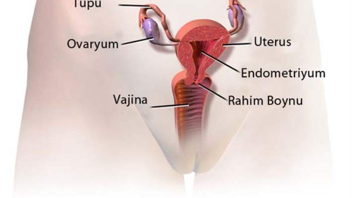 Endometriyoz - Evde Tedavi
