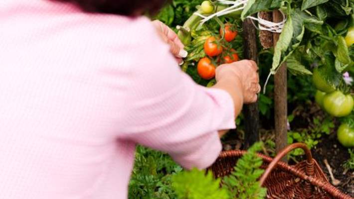 Her Kadının Tüketmesi Gereken Beş Organik Gıda