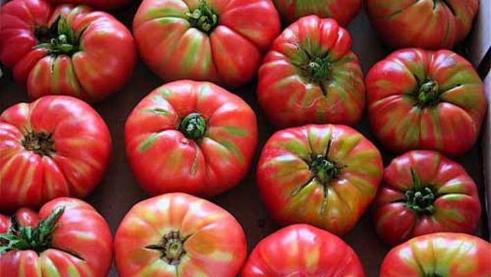 Organik Gıdalar Hakkında Doğru Ve Yanlış Bilinenler