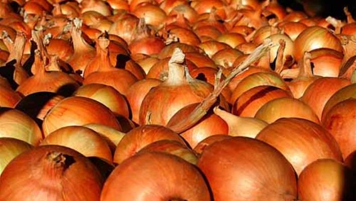 Soğan Ve Düşük Trombosit Miktarı