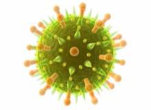 Bütün Grip Virüsleri İçin Tek Bir Aşı Mı Geliyor Bütün Grip Virüsleri İçin Tek Bir Aşı Mı Geliyor