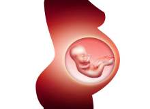 Hamileliğin 8. haftasında hangi değişiklikler yaşanır? Hamileliğin 8. haftasında hangi değişiklikler yaşanır?