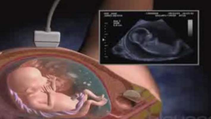 Hamileliğin 11. Haftasında Bebeğin Duyuları Ne Durumdadır?