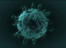 Rota Virüsü, Kan Grubu A Olanları Hasta Ediyor