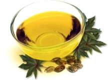 Bağışıklık Sistemi İçin Baharatlı Yeşil Çay Bağışıklık Sistemi İçin Baharatlı Yeşil Çay