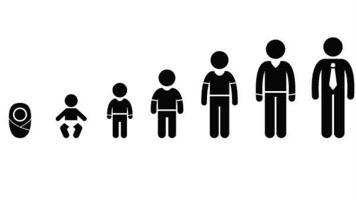 Penisin Gelişim Aşamaları Nelerdir?