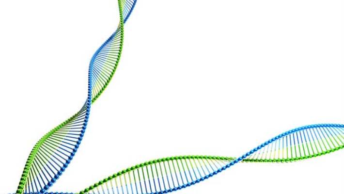 Erkeğin Genetik Özellikleri Babalık Sürecini Etkiler Mi?