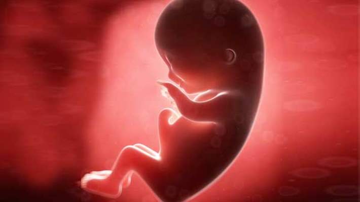 Fetus Sayısının İndirgenmesi Bir Tedavi Şekli Midir?