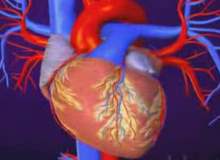 Gelecekte Kalp Hastalığı Tedavisi İçin Kök Hücreler