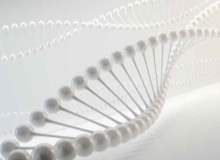 İnsan Genomu