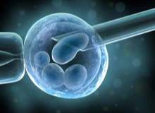 Tüp bebek tedavisinde embriyo seçimi hangi yöntemlerle yapılmaktadır?