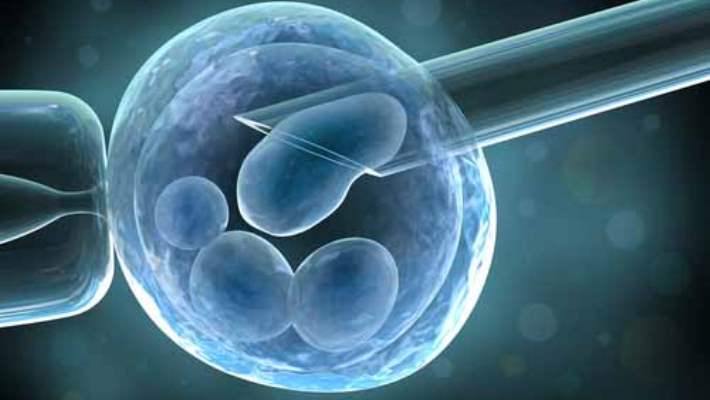 Tüp Bebek Tedavisinde Embriyo Seçimi Hangi Yöntemlerle Yapılmaktadır?