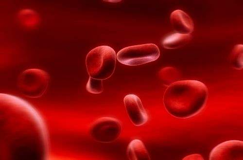 Sepsis (Septik Şok)