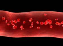 Kan Zehirlenmesi (Bakteriyemi)