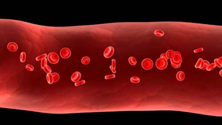 Kan Zehirlenmesi (Bakteriyemi)