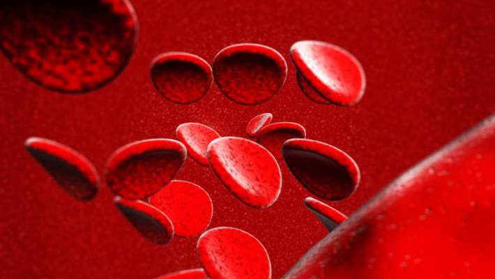 İnsan Kanı Tamamen Bakterilerle Enfektedir