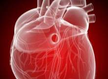 Konjestif  Kalp Yetmezliği Verileri