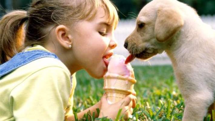 Evcil Hayvanlar Sahiplerinin Fiziksel Ve Ruhsal Sağlığını Artırıyor