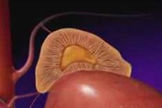 Çocuklar için atıştırmalık Çocuklar için atıştırmalık