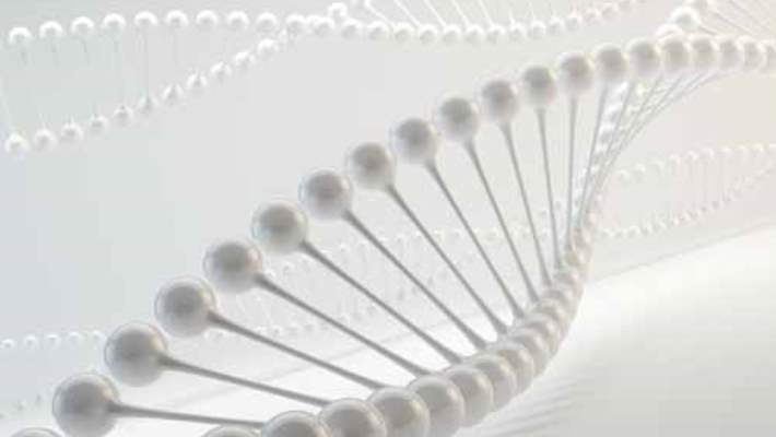 Dna Çevre Faktörlerden Etkileniyor