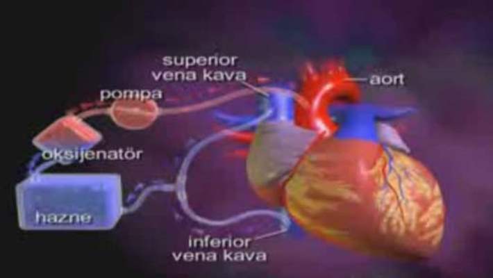 Akciğer Kanseri Tedavisinde Multidisipliner Yaklaşım