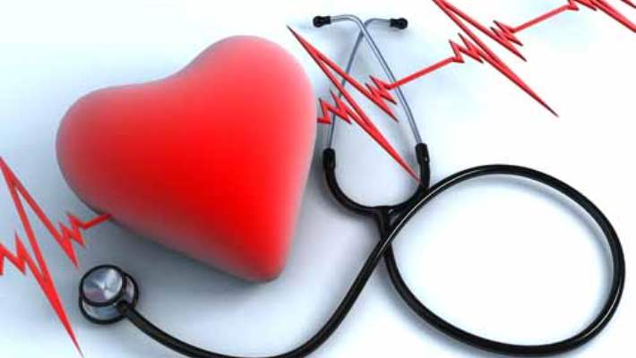 kalp sağlığı ile ilgili makale