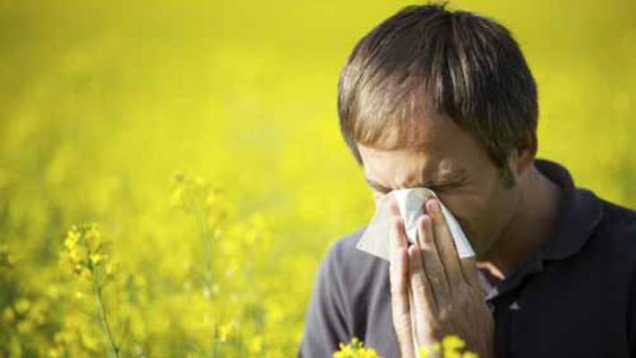 Alerjik Hastalıklar Tedavi Edilmezse Kronikleşebilir