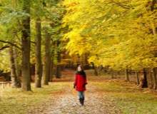 Tempolu Yürüyüş Prostat Kanserinin Yayılımını Yavaşlattı Tempolu Yürüyüş Prostat Kanserinin Yayılımını Yavaşlattı