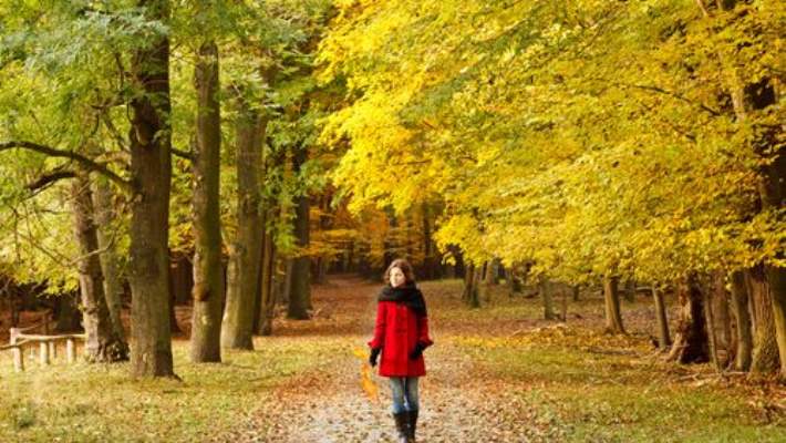 Tempolu Yürüyüş Prostat Kanserinin Yayılımını Yavaşlattı
