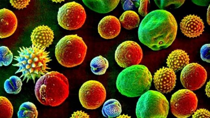 Alerji İlaçları Alerjiye Yol Açar Mı?