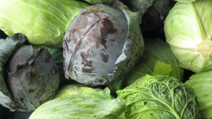 Zayıflamak İçin Lahana Suyu Kürü Uygulanmalı Mı?