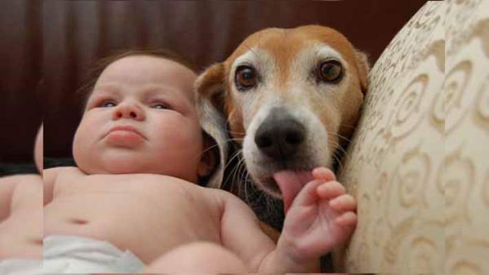 Çocuğun Yanında Bir Objeyle Uyuması Sorun Yaratır Mı?