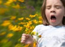 Polen alerjisi hangi mevsimde görülür?