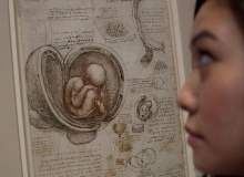 Da Vincinin Anatomik Çalışmaları Sergileniyor