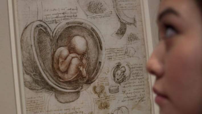 Da Vincinin Anatomik Çalışmaları Sergileniyor