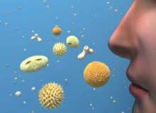 Mevsimsel alerji hangi belirtileri gösterir?