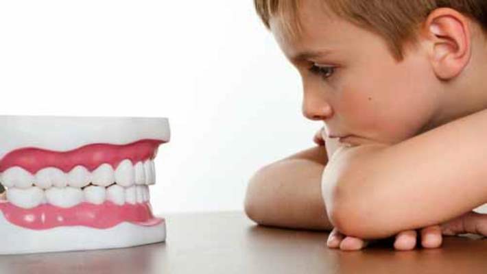 Ortodontik Tedavi (Tel Tedavisi) Sırasında Dişler Nasıl Hareket Eder?