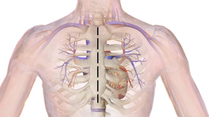 Deri Hücresinden Kalp Kası Oluşturuldu
