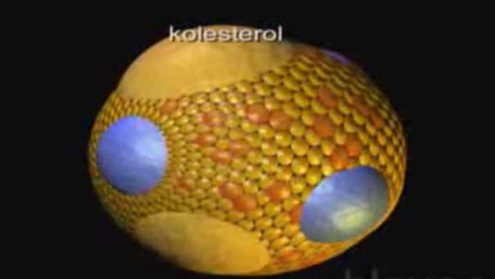 Kan Yağını Baharatla Düşürün