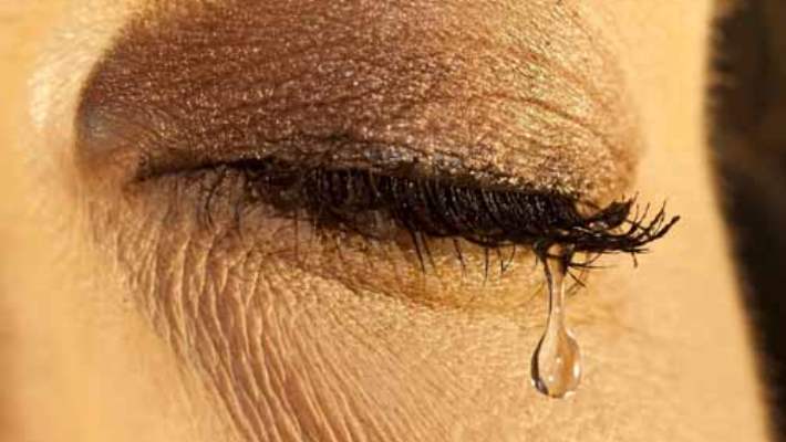 Kirpik Dibi İltihabının Nedenleri