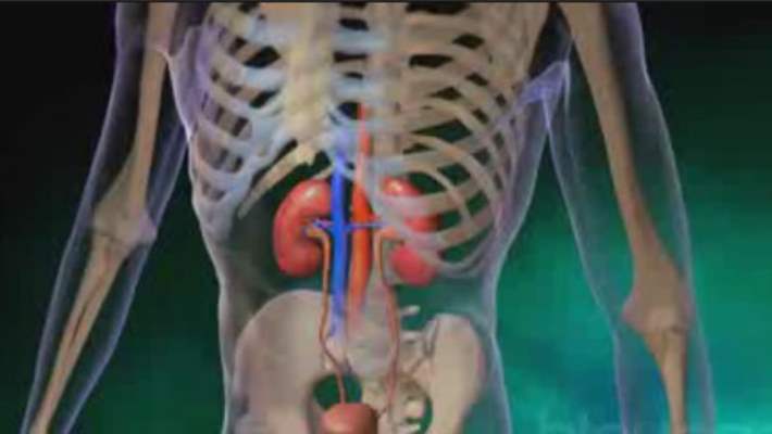 Üriner Sistem İltihapları