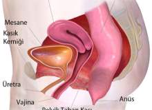 Rahimde Yara Rahimde Yara