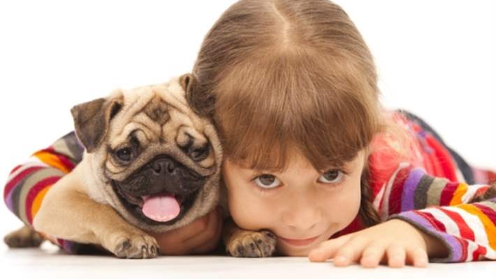 Kedi Ve Köpek Bebeklerin Sağlık Kaynağı