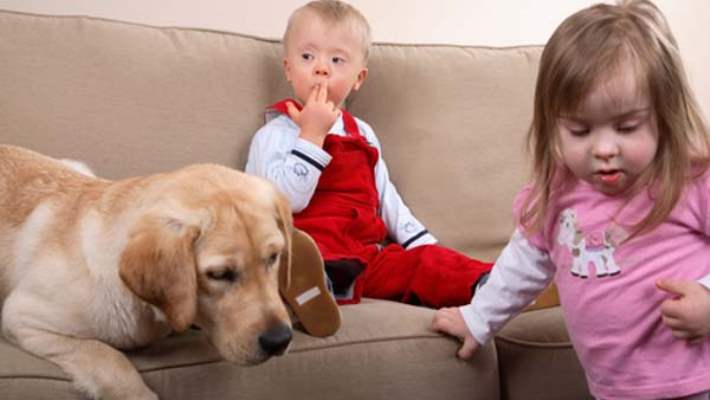 Çocuklarda Zihinsel Gelişim Sorunlarının Belirtileri Nelerdir?