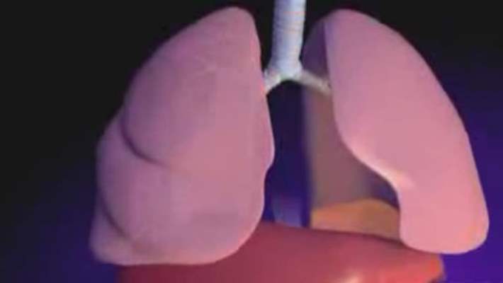 Akciğer Amfizeminin Belirtileri Nelerdir?