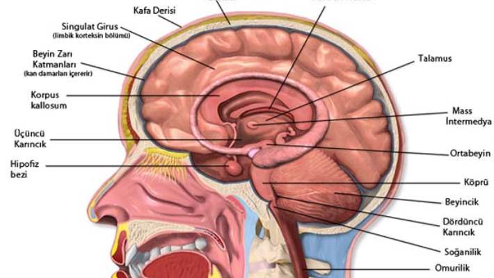 Beyin Kanamasının Yol Açtığı Hasarlar