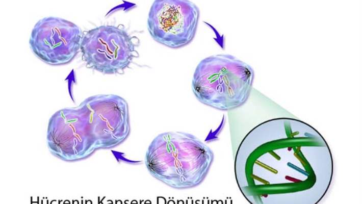 Kanser Araştırmalarında Çığır Açacak Keşif