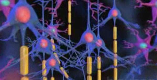 Epilepsinin belirtileri